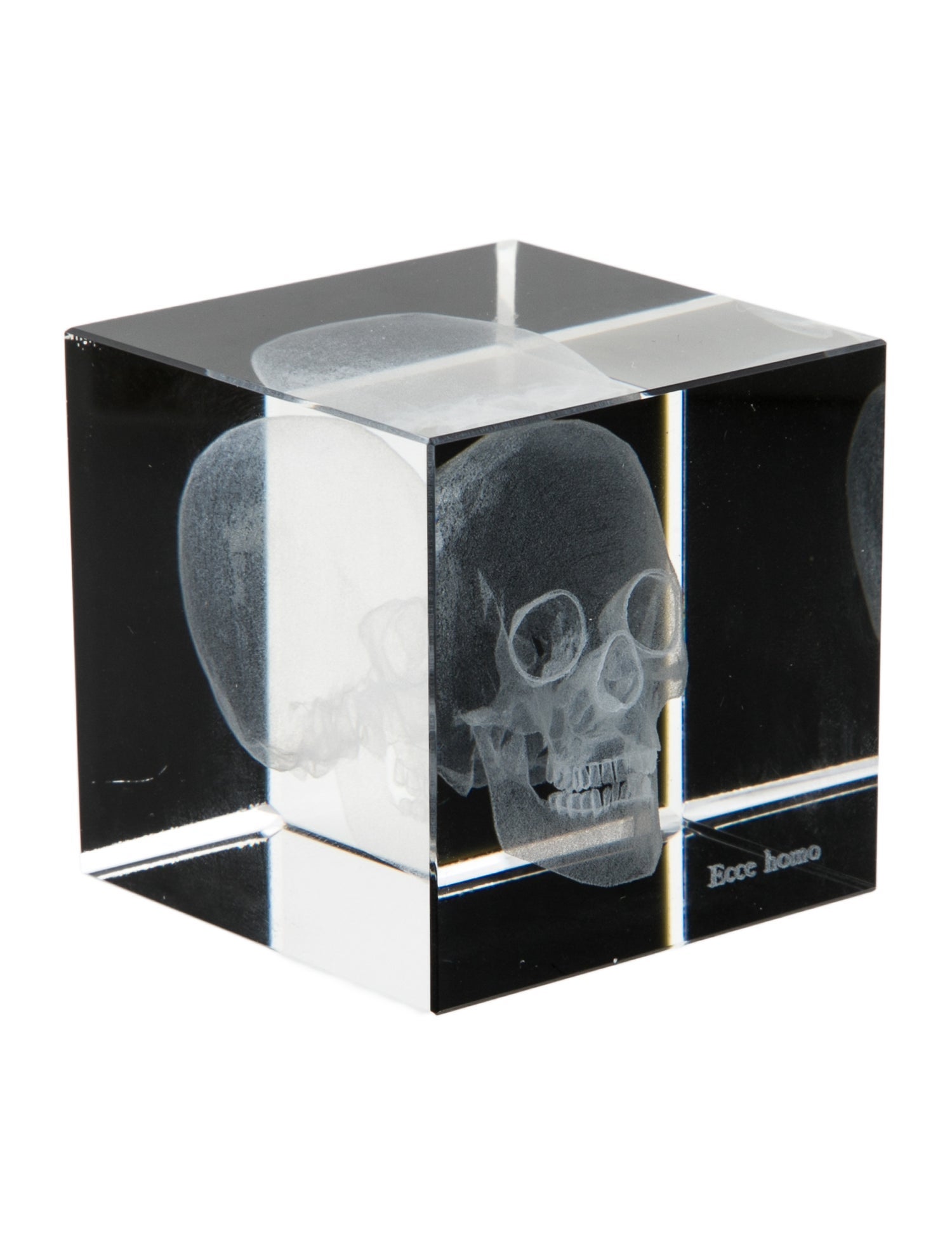 Nicole Sassaman 3D Skull Paperweight
